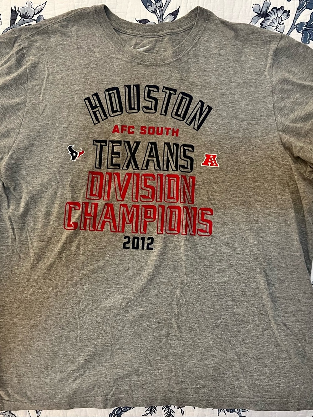 Nike Gray Houston Texans Division Champions Graphic Tee